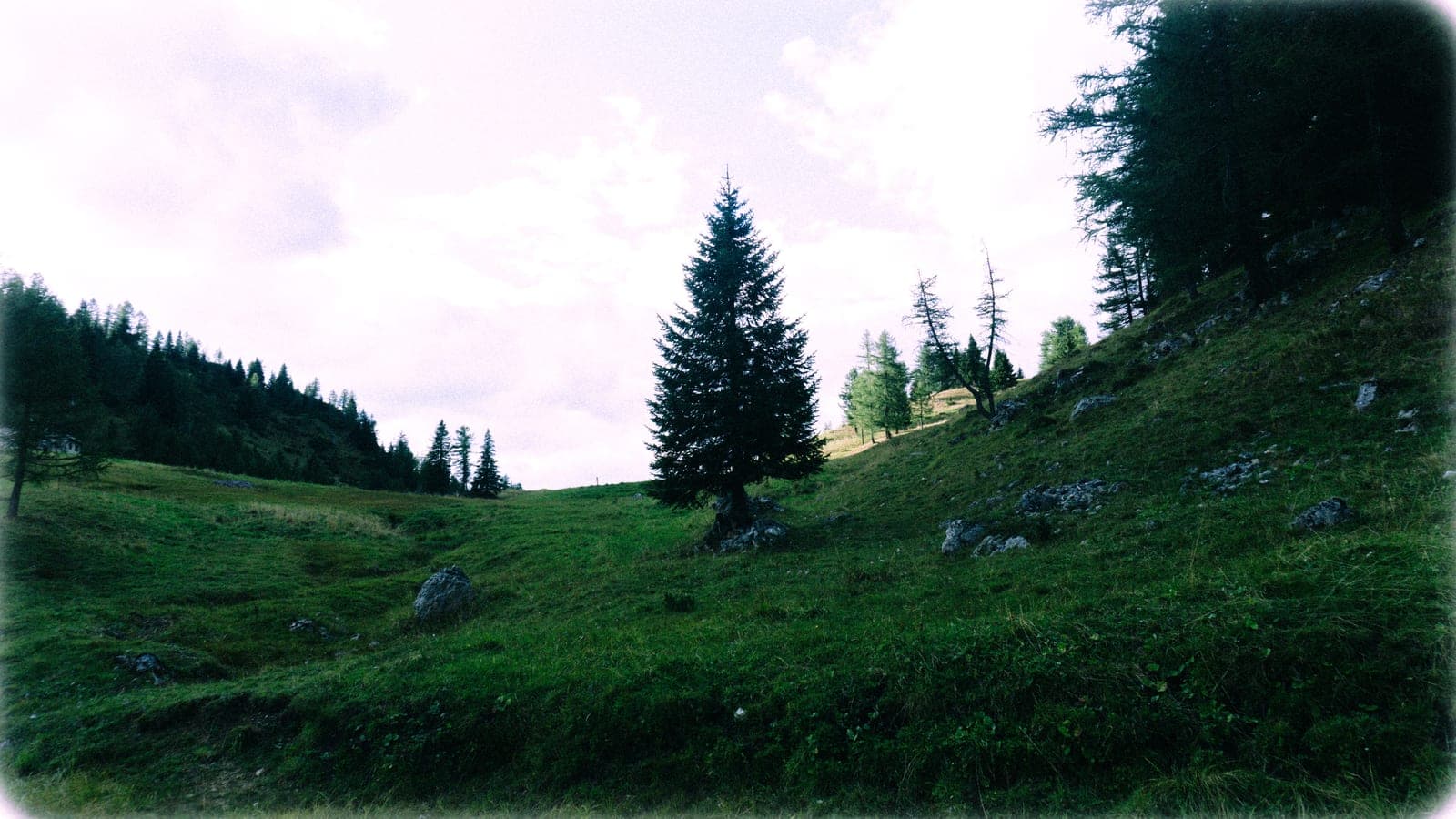 Lago Coldai image 3