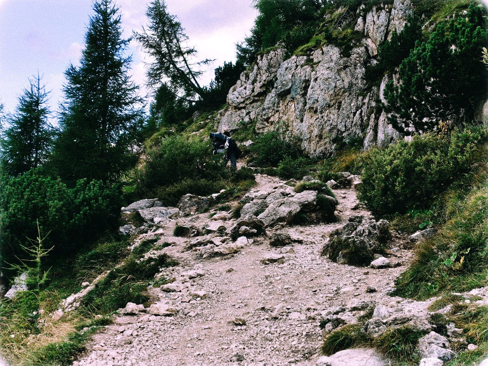 Lago Coldai image 16
