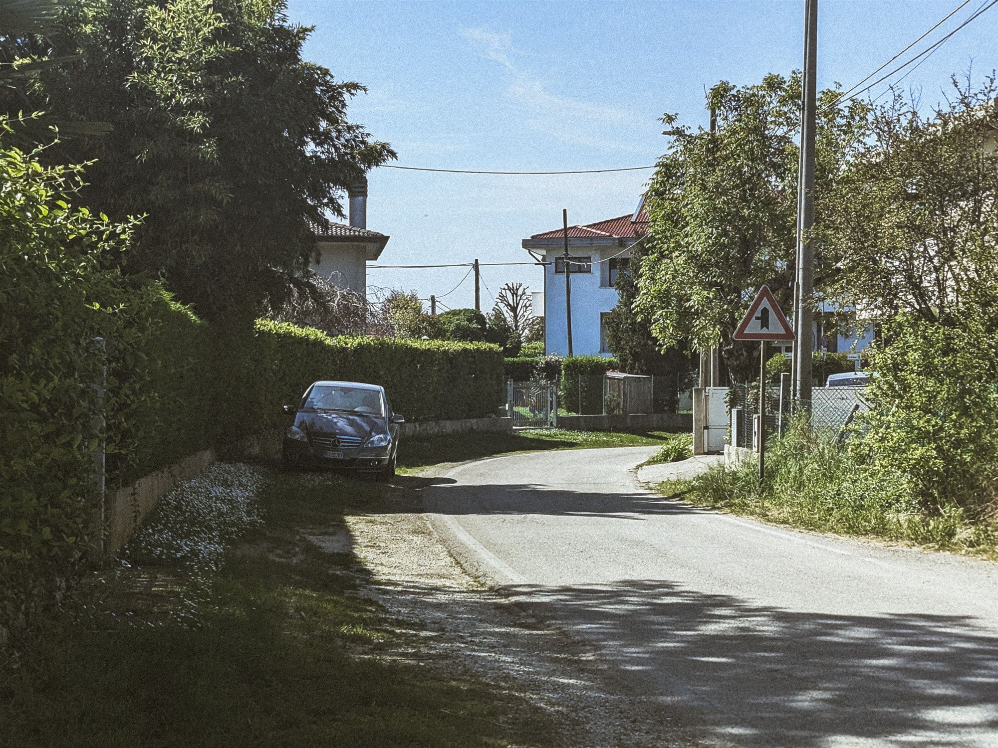 Padova image 13