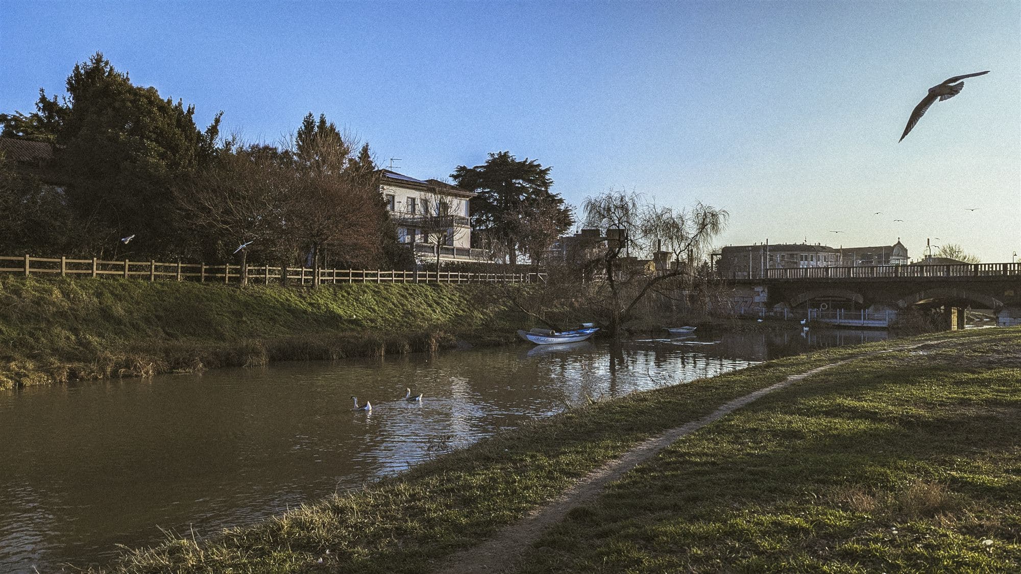 Padova image 8