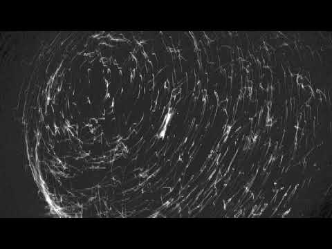 dnb
